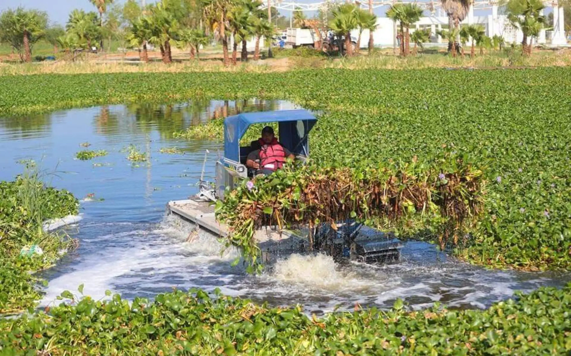 Arranca obra de rescate del parque El Laguito en Nuevo Laredo   